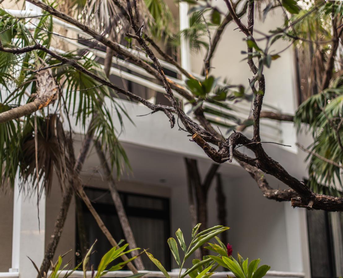 Casa Ambar Hotel & Boutique Tulum (Adults Only) Exterior foto